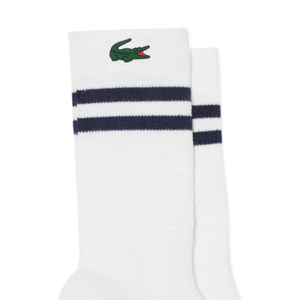 B46504 - Calzini - Lacoste - immagine 3